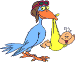baby_bird.gif (6379 bytes)